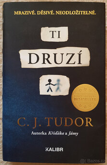 Číslo 20, Tajemství pomocnice, Skryté karty, Ukradené životy - 12