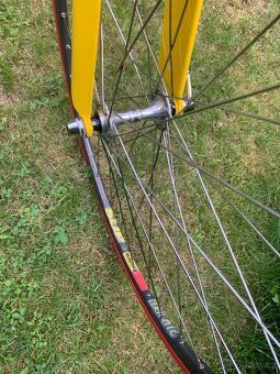 Merida extreme 907 - 12