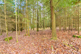 Prodej, les, 7475 m², Chudenice, Chudenický Žďár - 12