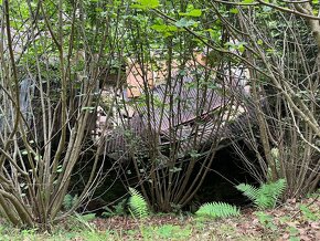 Prodej chalupy -  Podhora u Pěnčína - 12