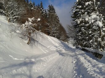 APARTMÁN V KRKONOŠÍCH /4os. - 12