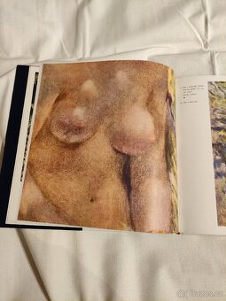Auguste Renoir - Jaromír Neumann - 12