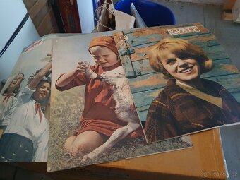 Rodokaps, Květy - 12