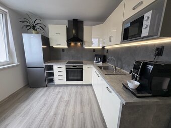 Pronájem nadstandartně vybaveného bytu 1+1 Jirkov - 12