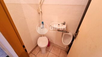 Prodej RD Habrovany s prostory pro podnikání, pozemek 2133 m - 12