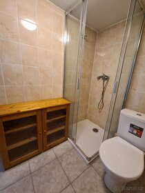 Ubytování 2 pokoje Herálec +práce pro OZP pracovníky. - 12