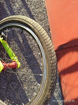 Koloběžka Wilcox - 12