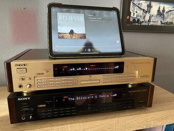 Sony DAR-1000ES - verze 2.1 CHAMPAGNE/BLACK - 12
