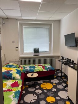 Pronájem samostatného pokoje v Holicích - 12