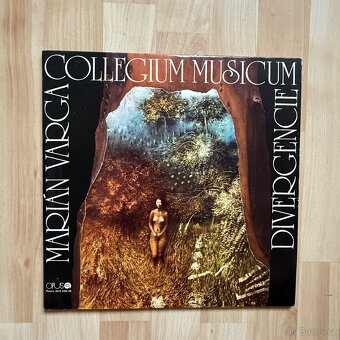 MIX LP - české i zahraniční - ceny od 99kč za kus - SLEVA - 12