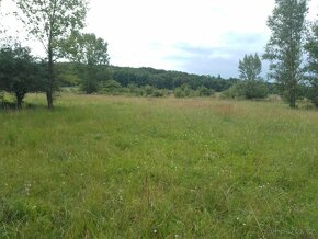 Pozemek u jezera Pístník, přes 1,8 ha, blízko dálnice D8... - 12
