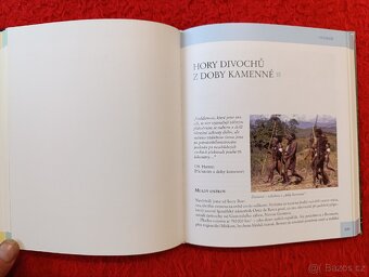 PŘES PRALESY K LEDOVCŮM - 12