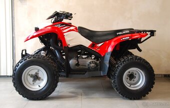Polaris Phoenix 200 - 12