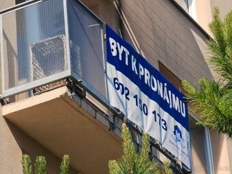 Pronájem bytu 4+1 - 12