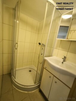 Pronájem bytu 1+kk, 19m2, Teplická, Děčín - 12