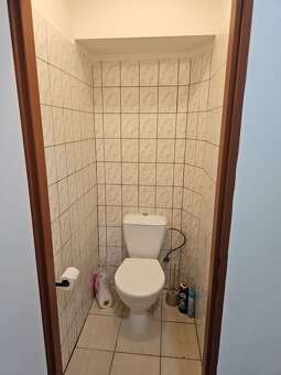 Pronájem obchodních prostor - 12