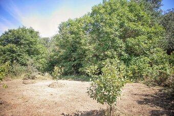 Prodej zahrady 3146 m2 Louny Lužerady - 12
