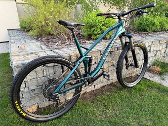 CANYON SPECTRAL - 12