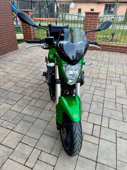 BENELLI BN 302, Kawasaki, Honda, Suzuki - 12