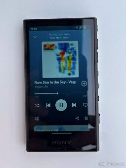 Sony Walkman NW-A306 (EU) - 12