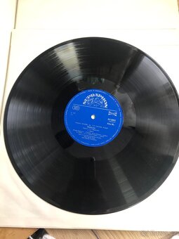 Vinylové desky - 12