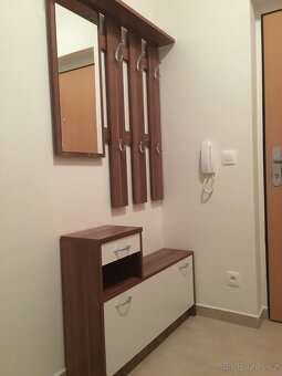 Pronájem 1 + kk Brno Slatina - 12