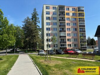 Prodej podílu 1/31 DB 3+1, 76 m2, lodžie, šatna - Prostějov - 12