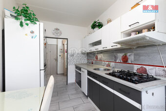 Prodej bytu 2+1, 62 m², Ostrava - Hrabůvka, ul. Horní - 12