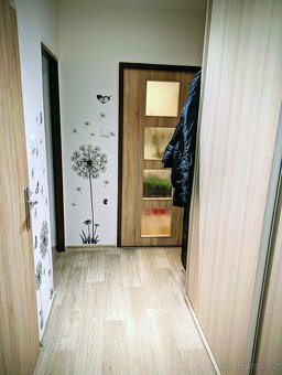 Prodej zrekonstruovaného bytu 2+1 - 12