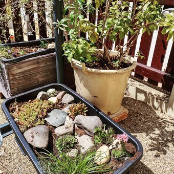 Truhluiky aj na zahradku - 12