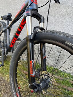 Kellys Whip 50 - 12