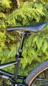 Specialized Amber FSR Comp Carbon 29" - 12