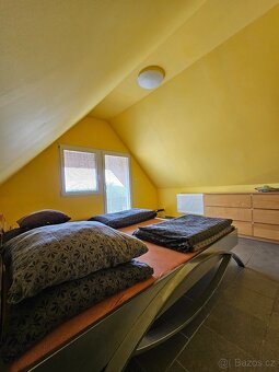 Prodej kouzelného vinného sklepa v srdci vinic - 12