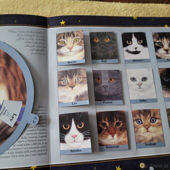 KOČKY pro děti - 12