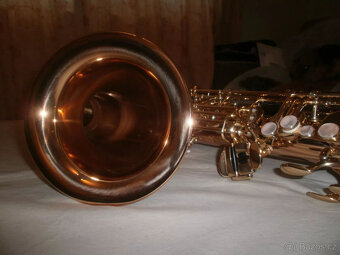 Tenor saxofon Yanagisawa Bronze TW02 v málo používaném stavu - 12