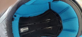 Shark - 12