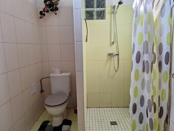 Prodej rodinného domu, pozemek 1332 m2, Zminný, Dašice Pardu - 12