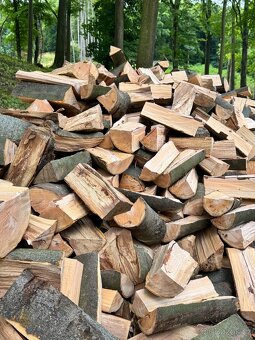 Prodej palivového dřeva - 12