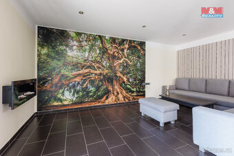 Prodej multifunkčního obchodního objektu, 1519 m², Skršín - 12