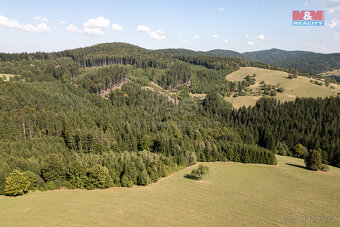 Prodej lesa, 8743 m², Valašská Senice - 12
