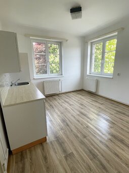 Pronájem bytu 2+1 • 66 m² bez realitky - 12