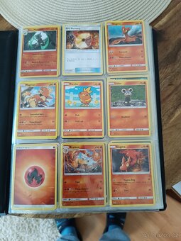 Album Pokémon - 12