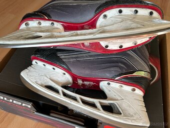 Bauer X600 brusle 8,5 (bauer) - 12