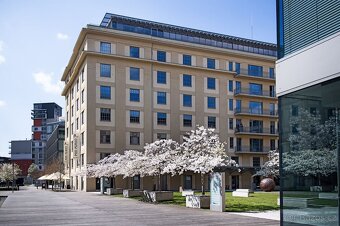 Pronájem kancelářských prostor 564 m2, U Uranie / Jankovcova - 12