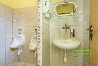 Prodej nemovitosti 120 m², Rohová 548/1, Karlovy Vary - 12