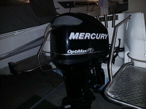 Quicksilver 580 Pilothouse Mercury 75 - 12