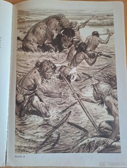 Kniha PREHISTORIC MAN Josef Augusta Zdeněk Burian - 12