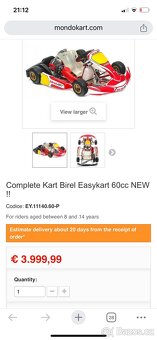 Kart Birel Easykart 60cc - 12