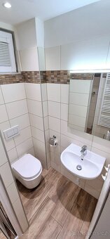 Prodej bytu 2+kk se sklepem a zahradou, Praha 2 - Nové Město - 12