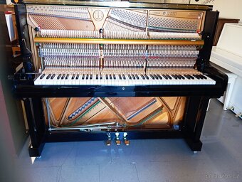 Hyundai mod.120-Dovoz i na Štědrý den 24.12. - 12